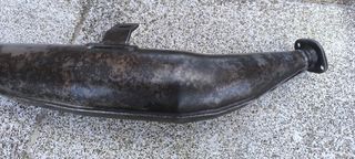 Panza Yasuni Vespino