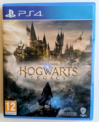 Hogwarts Legacy PS4 (PlayStation 4)