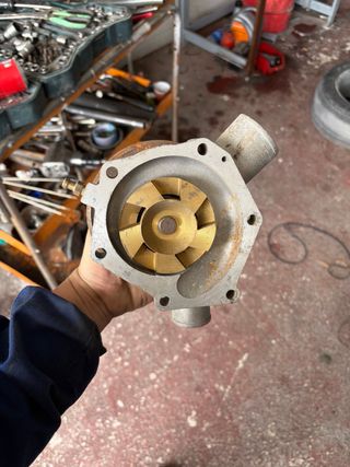 Bomba de Agua Citroen CX