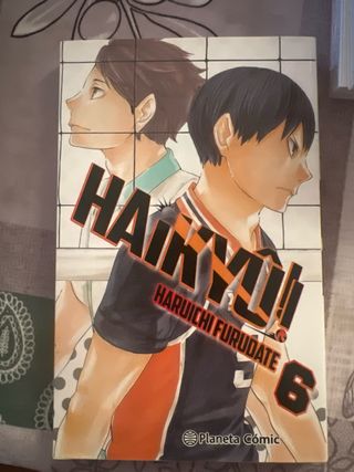 Haikyû!! Manga