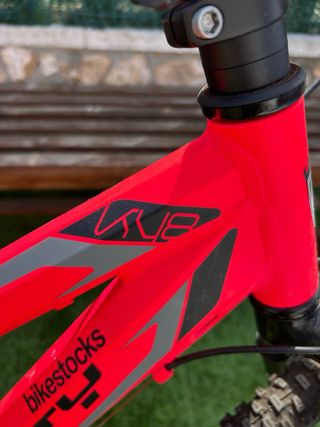 Bicicleta Monty Junior KY8