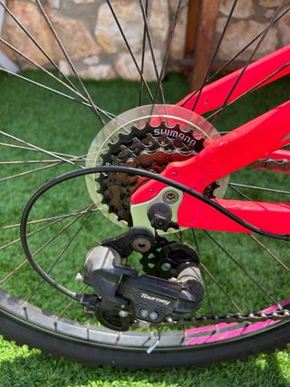 Bicicleta Monty Junior KY8