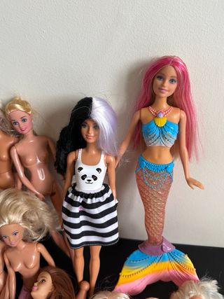 Lote Barbie: Bambole e Accessori