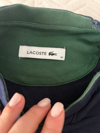 Sudadera Lacoste Azul Marino y Verde