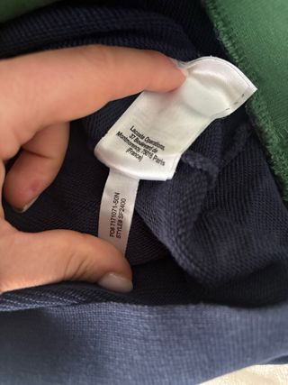 Sudadera Lacoste Azul Marino y Verde