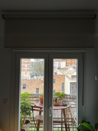 Estor enrollable 146 cm