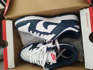 Nike Dunk Low Azul y Blanco