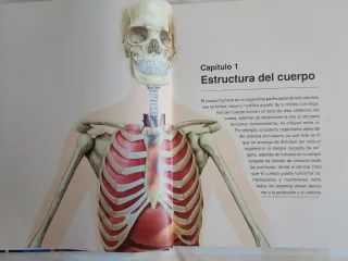 ATLAS DE ANATOMIA O.VARIAS NGV