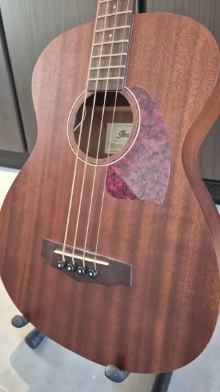 Bajo Acústico Ibanez