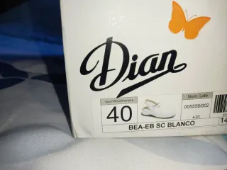 Zuecos de seguridad Dian blancos