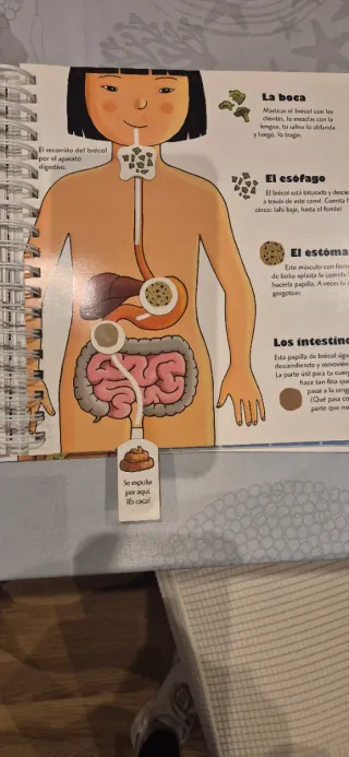 Libro " El cuerpo humano"
