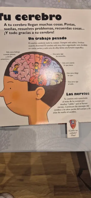 Libro " El cuerpo humano"