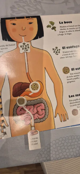 Libro " El cuerpo humano"