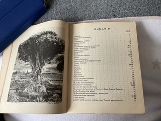 Guia de Tenerife ( años 1950)