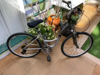 Conjunto de 3 bicicletas