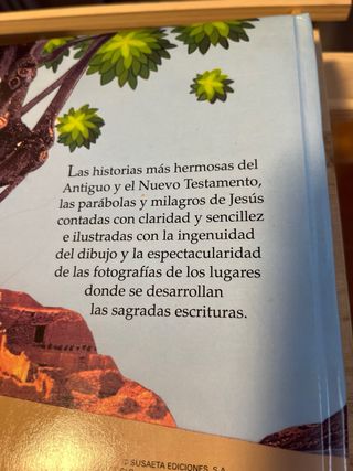 Biblia infantil (Grandes Libros 2) (Spanish Edi...