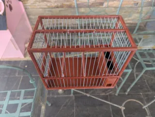 Jaula Jilguero con Soporte Marrón