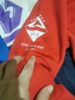 Lote de chaquetas deportivas