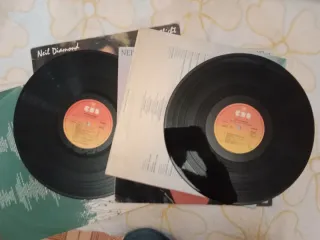 2 Vinilos Neil Diamond - Heartlight / On The Way T