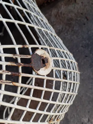 Sillas de patio de hierro blanco