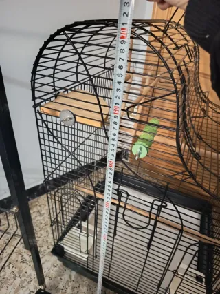 Jaula Palacio Agapornis/Ninfas Negra