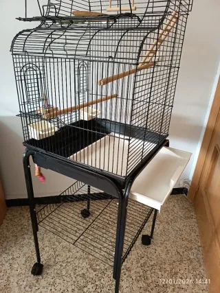 Jaula Palacio Agapornis/Ninfas Negra