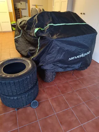 Neumáticos Quad Maxxis 270/60-12 50N Traseros