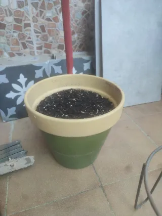 Tiesto con planta y soporte