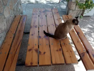 Mesa picnic madera y metal