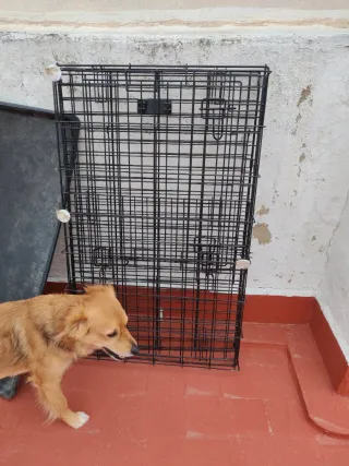 Jaula Perro Pequeño/Mediano Negra