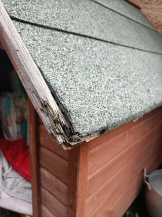 Caseta perro grande madera y tela asfáltica