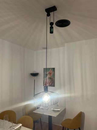 Lámpara Colgante Negra Estilo Industrial regulable