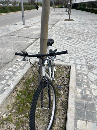 Bicicleta Montaña/Ciudad con luces y candado