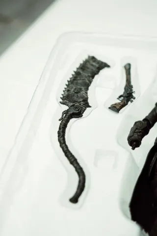 Figura Figma Bloodborne Hunter 367