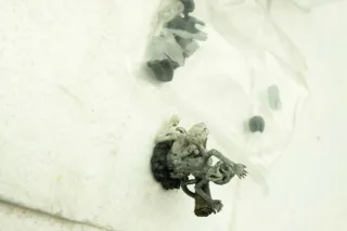 Figura Figma Bloodborne Hunter 367