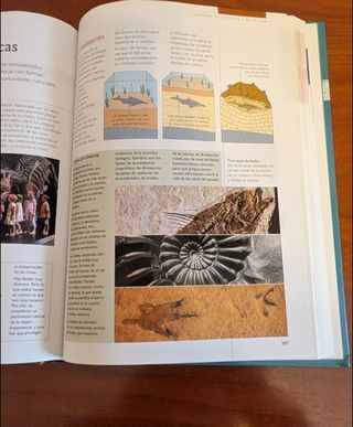 CIENCIAS DE LA TIERRA Y DEL UNIVERSO