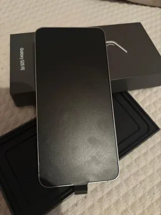 Samsung Galaxy S25 Gris