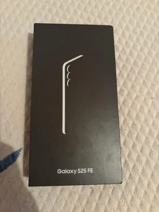 Samsung Galaxy S25 Gris