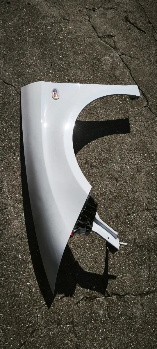 Aleta Izquierda Leon 2