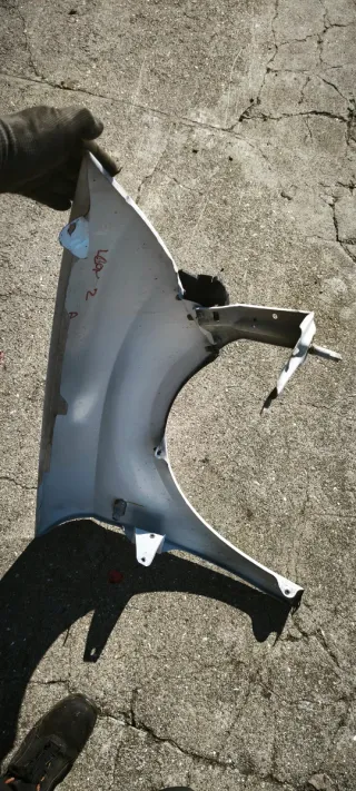 Aleta Izquierda Leon 2