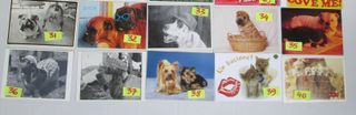 Cartoline Vintage Cani e Cuccioli - Collezione