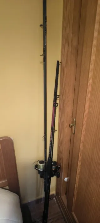 Cañas de pescar Siluro y Carpfishing