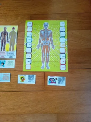 Puzzle Corpo Humano 16 Peças