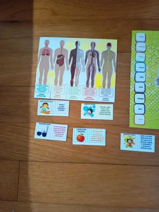 Puzzle Corpo Humano 16 Peças