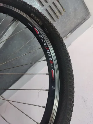 Rueda delantera Maxxis