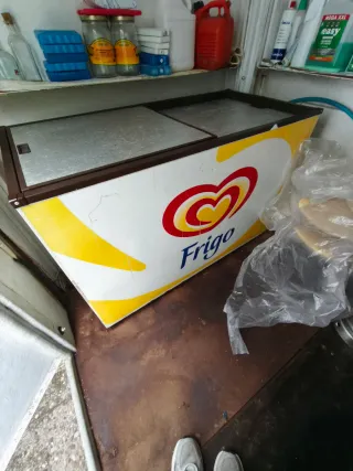 Arcón Congelador Frigo