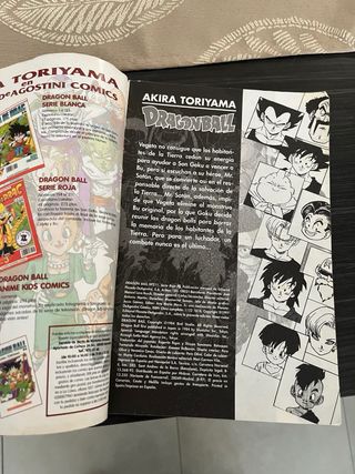 Cómic DRAGONBALL serie roja/58 N-211