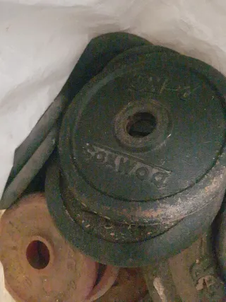 Pesas de gimnasio varios kg