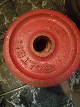 Pesas de gimnasio varios kg