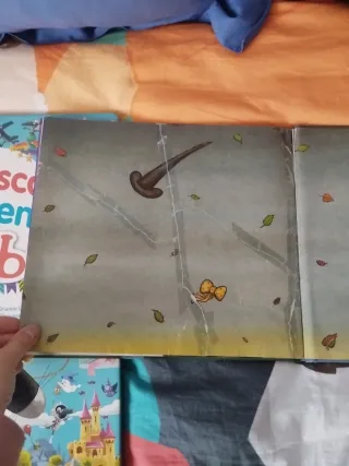 Libro infantil ¡Cómo mola tu escoba!